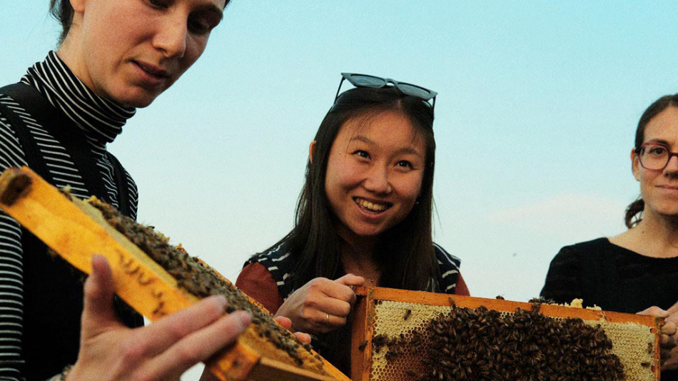NEUF à la table ronde : Biodiversité et l'environnement bâti