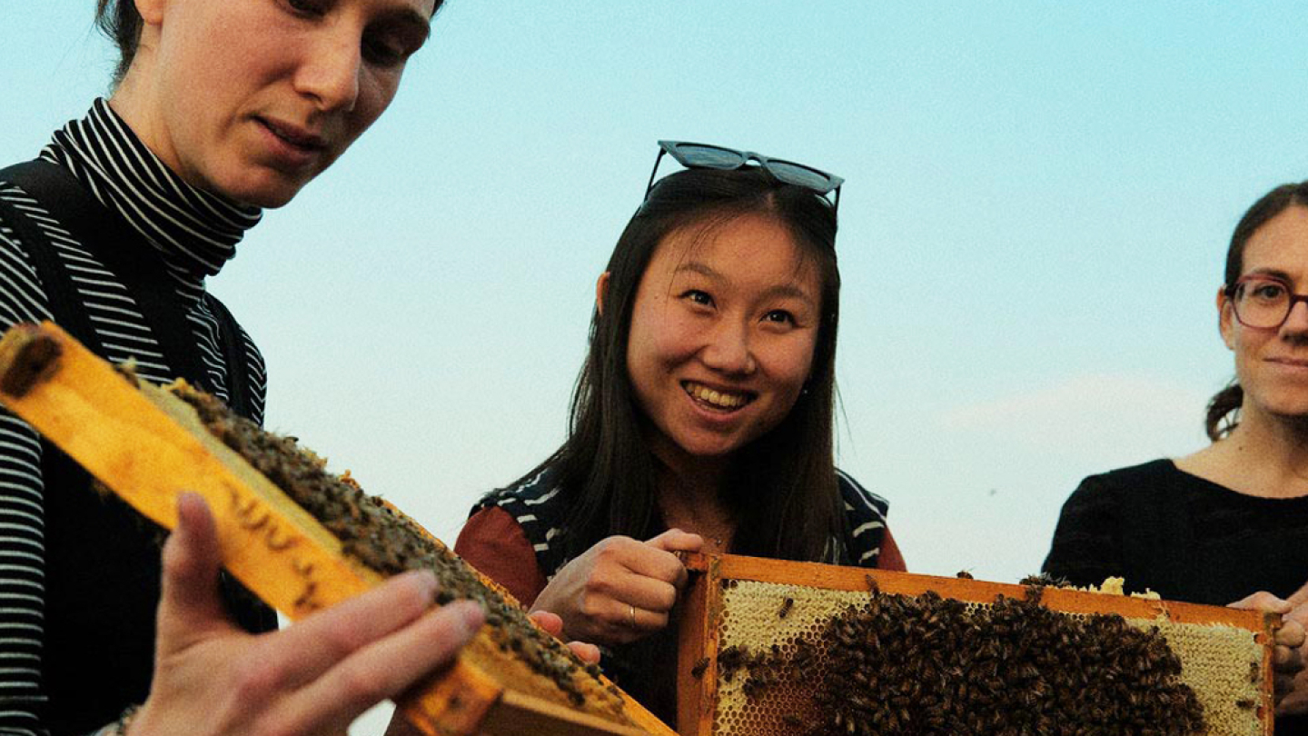 NEUF à la table ronde : Biodiversité et l'environnement bâti